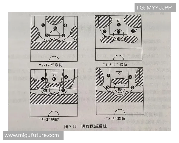 武汉篮球队比赛经验深度解析与战术探讨